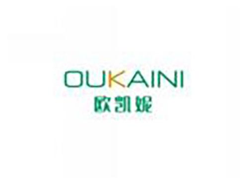 欧凯妮OUKAINI