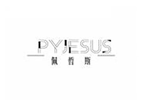 佩哲斯 PYJESUS