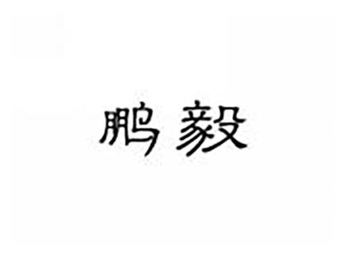 鹏毅