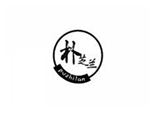 朴芝兰