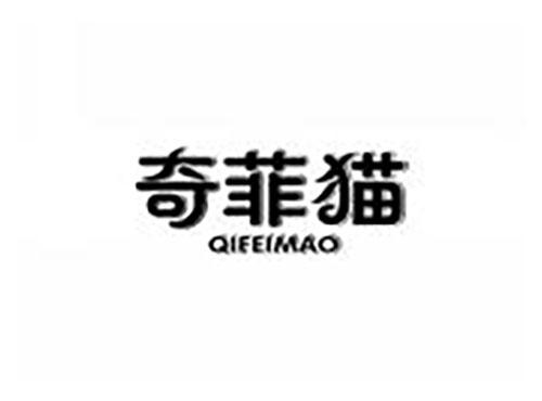 奇菲猫