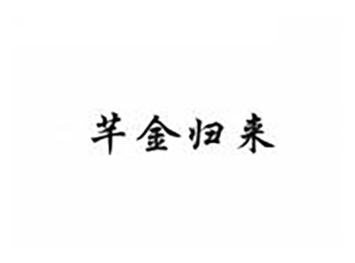 芊金归来