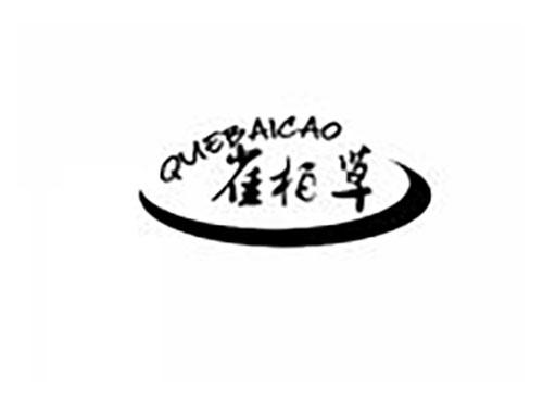 雀柏草