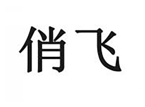 俏飞