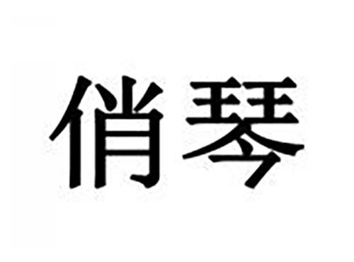 俏琴