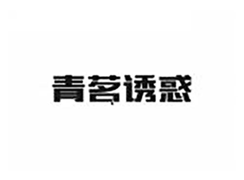 青茗诱惑