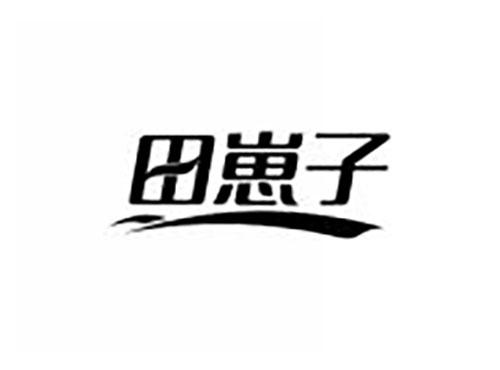 田崽子
