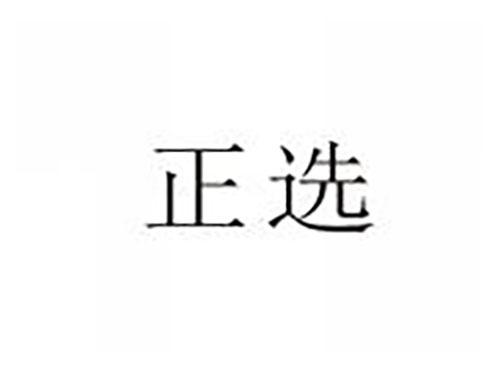 正选