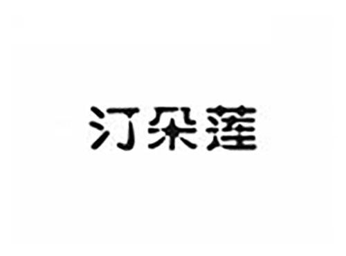 汀朵莲