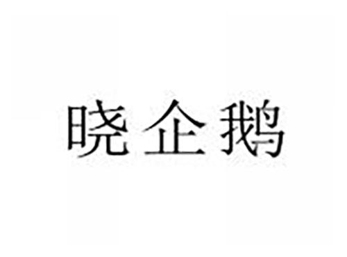 晓企鹅