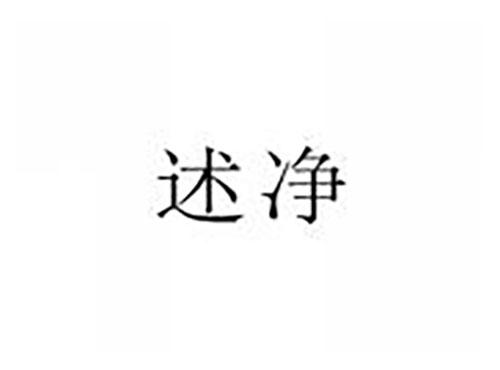 述净