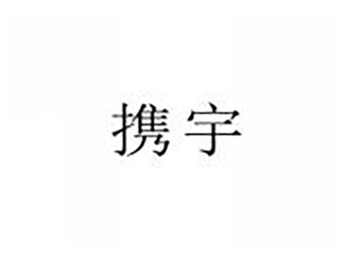 携宇