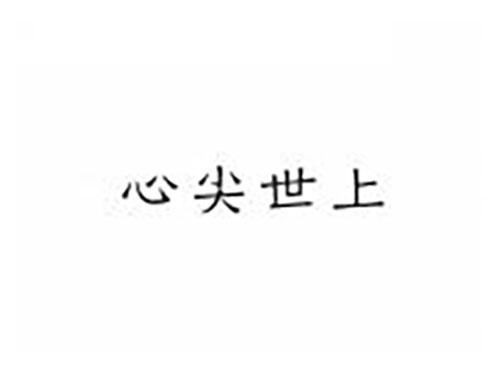 心尖世上