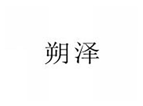 朔泽