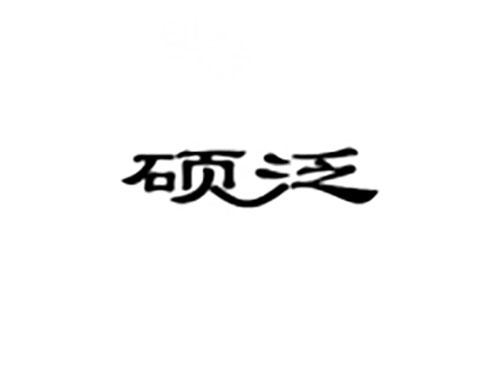 硕泛