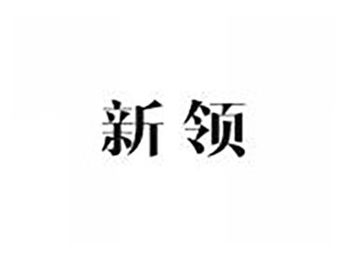 新领