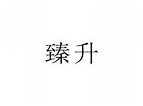 臻升