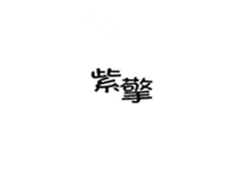 紫擎