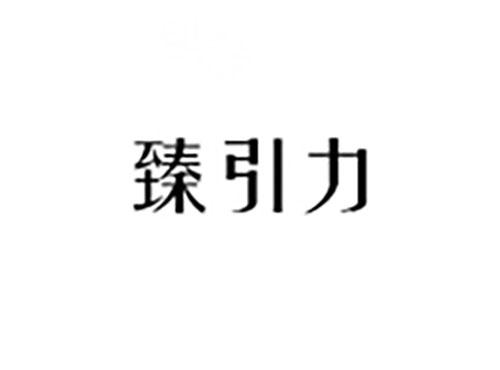 臻引力