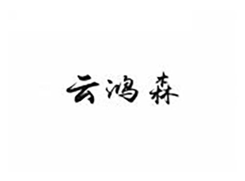 云鸿森