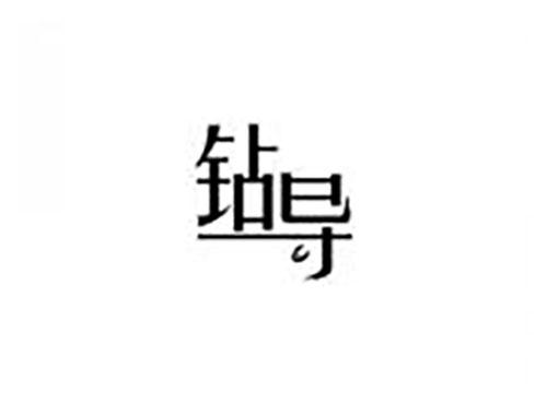 钻导