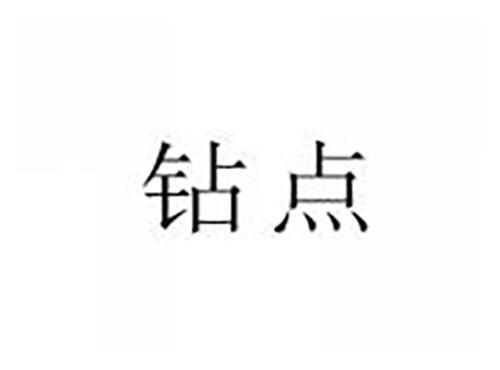 钻点