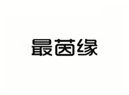 最茵缘