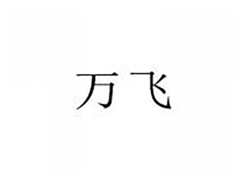 万飞