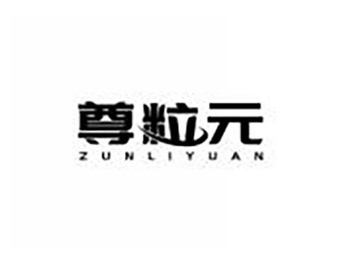 尊粒元