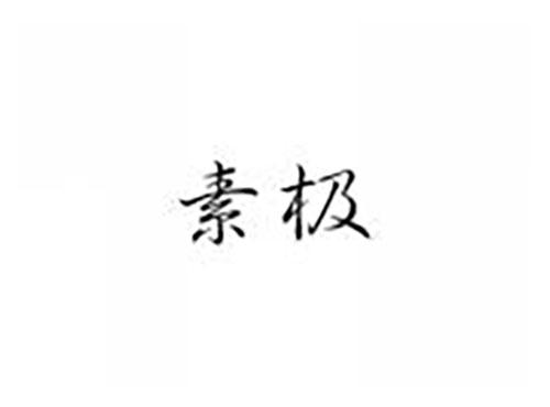 素极