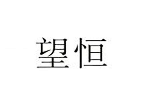 望恒
