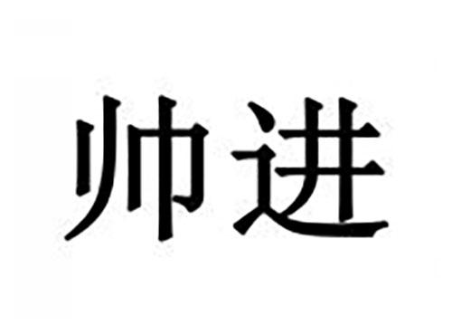 帅进