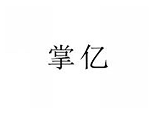 掌亿