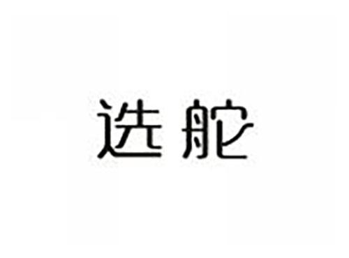 选舵