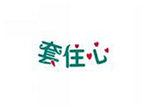 套住心