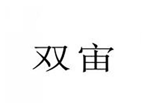 双宙