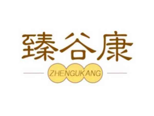 臻谷康