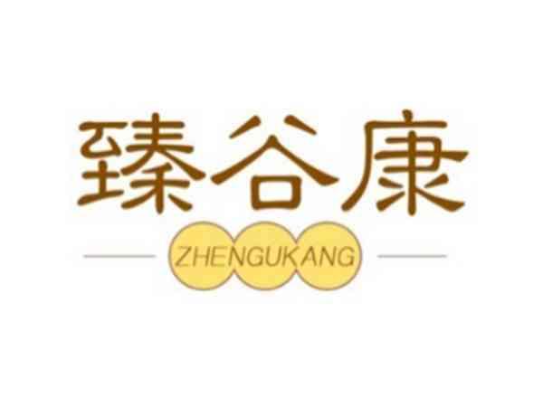臻谷康