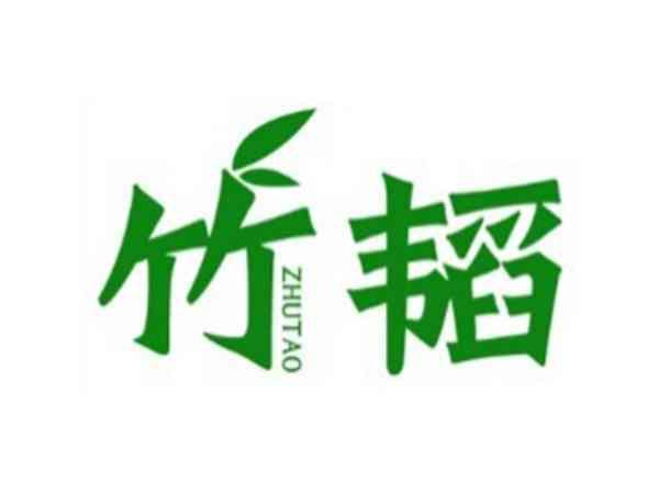 竹韬