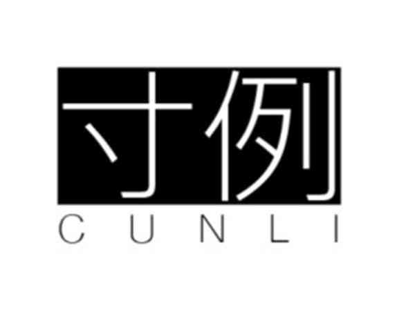 寸例