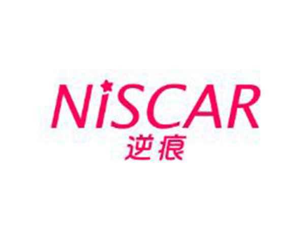 逆痕 NISCAR