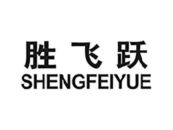 胜飞跃