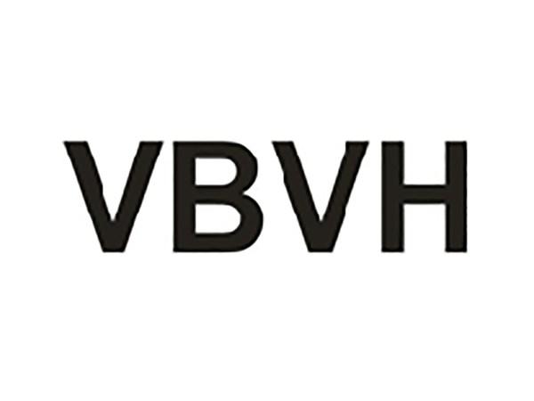 VBVH