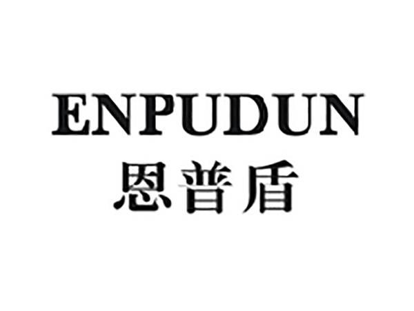 恩普盾