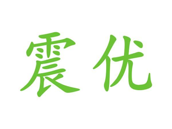 震优