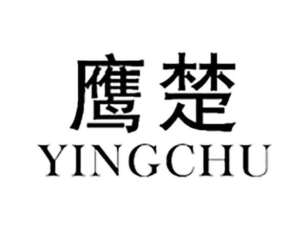 鹰楚