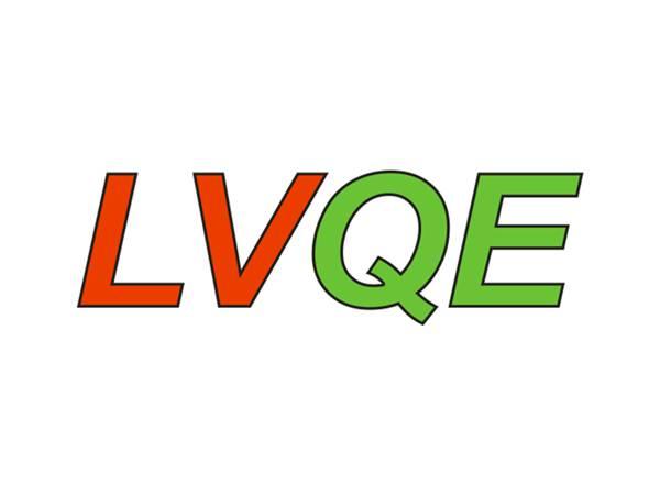 LVQE