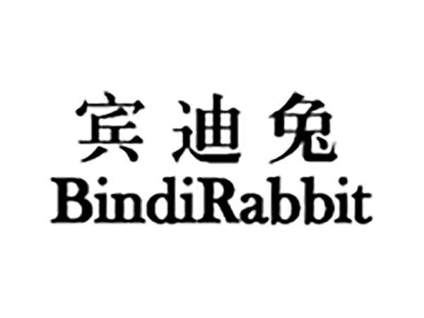 宾迪兔