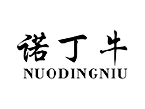 诺丁牛