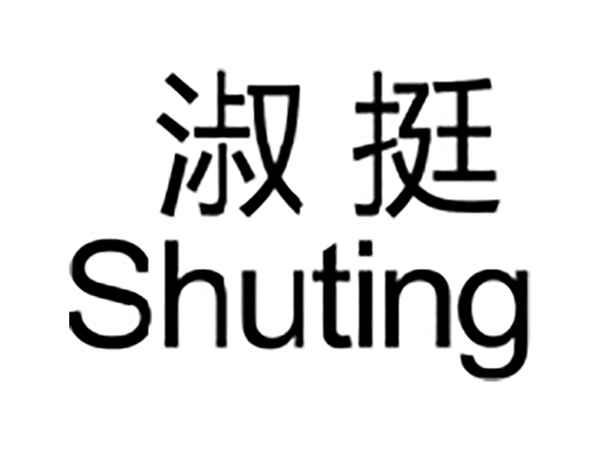 淑挺